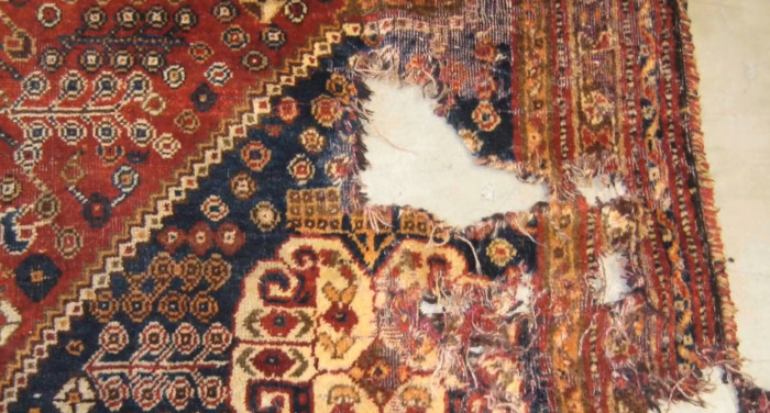 Moths and bug damage to a wool rug